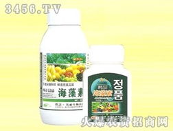 山東諾邦生物安丘有機肥料廠產(chǎn)品代理商張輝拓展安徽市場，共推生物肥料新篇章